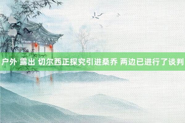 户外 露出 切尔西正探究引进桑乔 两边已进行了谈判